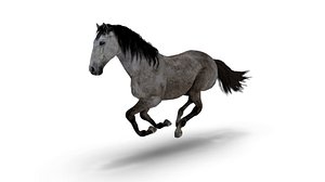 3D Realistic Animated Gray Horse 3D model model