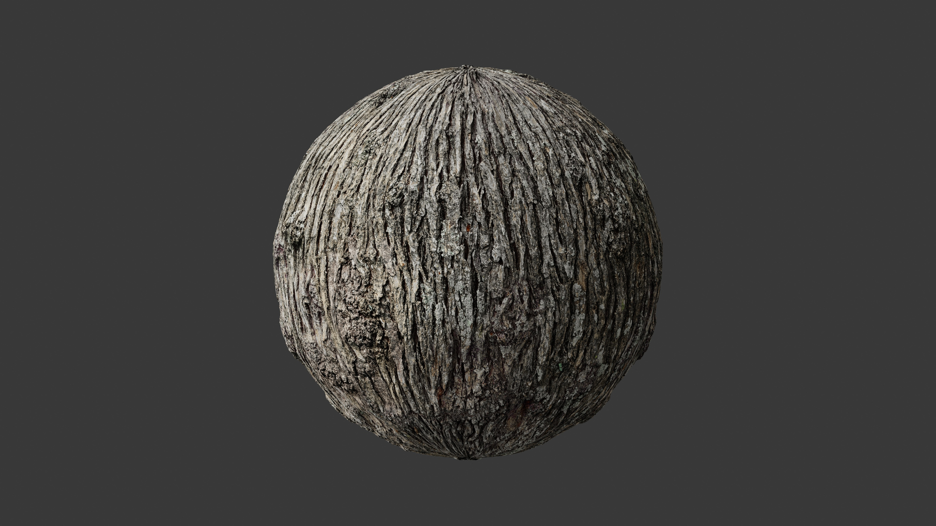 3D model Winged Elm Log PBR tiled 8K 05 https://p.turbosquid.com/ts-thumb/t9/ejH7y5/1B/elm_mat5_fullquality/jpg/1781683796/1920x1080/turn_fit_q99/06b50c4acab70a133bb90f949478f35a07cc9c3d/elm_mat5_fullquality-1.jpg