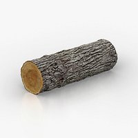 Winged Elm Log PBR tiled 8K 05