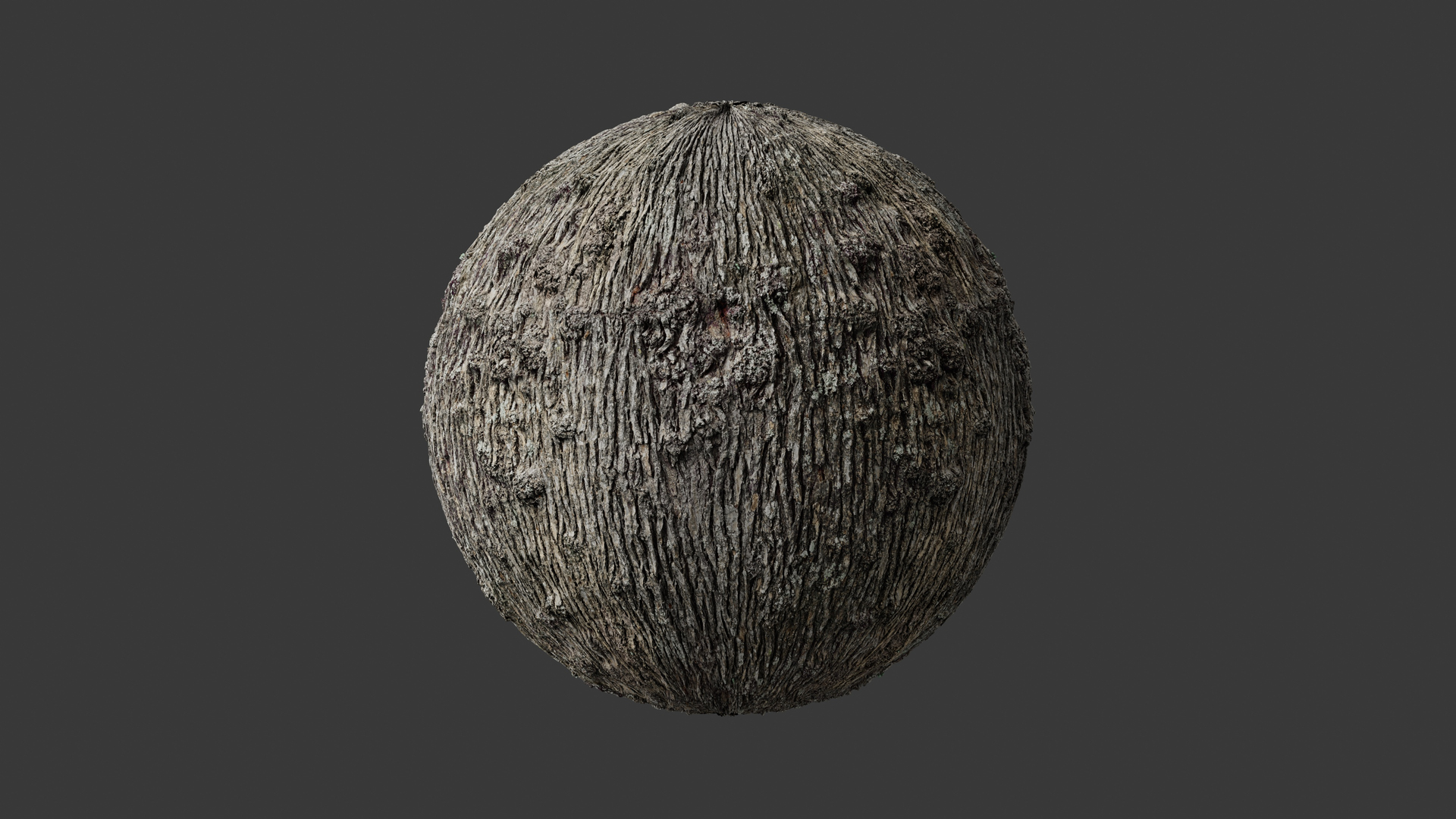 3D model Winged Elm Log PBR tiled 8K 05 https://p.turbosquid.com/ts-thumb/t9/ejH7y5/Gu/elm_mat5_fullquality_003/jpg/1781683855/1920x1080/turn_fit_q99/a786dc866ac99b5f1c6a6c594264001920377ce1/elm_mat5_fullquality_003-1.jpg