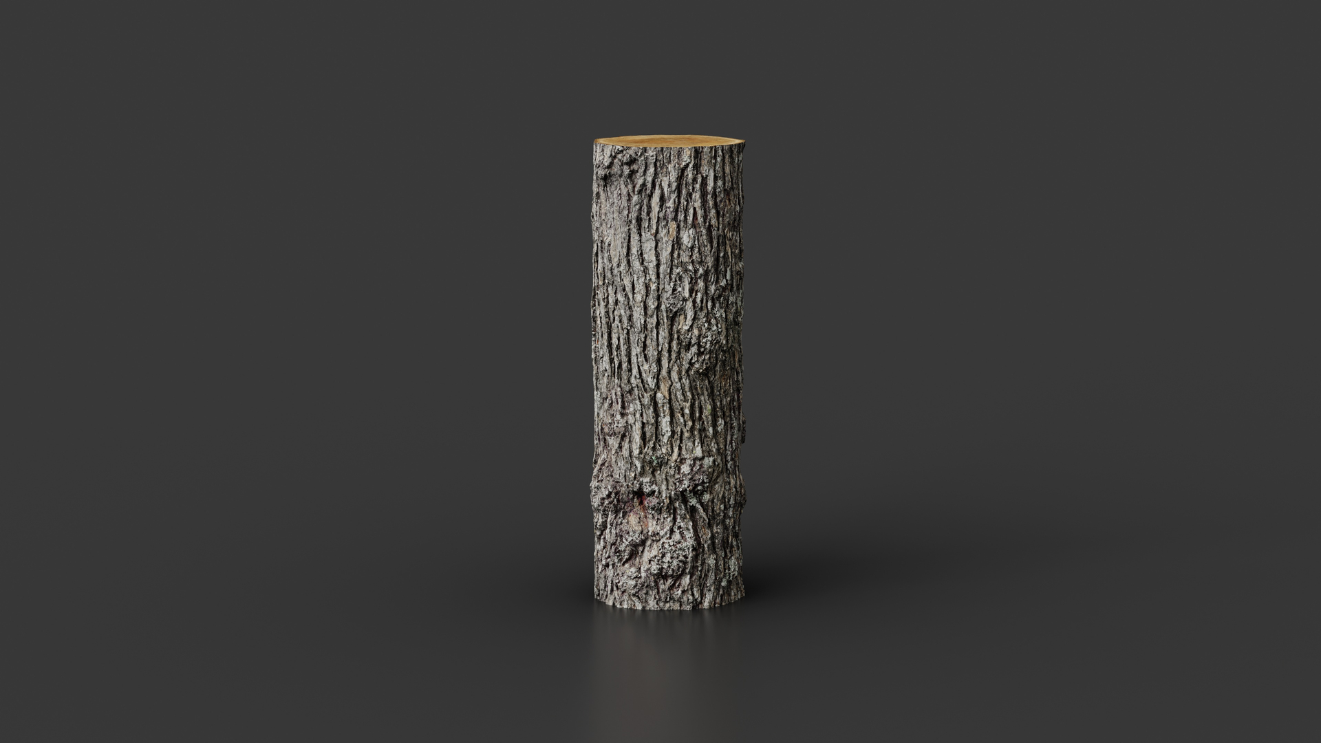 3D model Winged Elm Log PBR tiled 8K 05 https://p.turbosquid.com/ts-thumb/t9/ejH7y5/e0/elm_trunk5_fullquality_001/jpg/1781683921/1920x1080/turn_fit_q99/6a909903087bd457cadec5f44733ed7e3899c277/elm_trunk5_fullquality_001-1.jpg