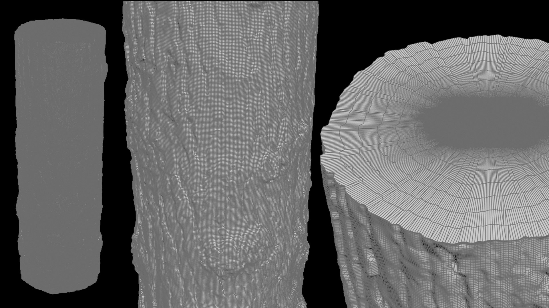 3D model Winged Elm Log PBR tiled 8K 05 https://p.turbosquid.com/ts-thumb/t9/ejH7y5/eB/elm_log5_02/jpg/1781683763/1920x1080/fit_q87/0e3cfe19860ac2d8b51f1c0026d96da249e1a9b9/elm_log5_02.jpg