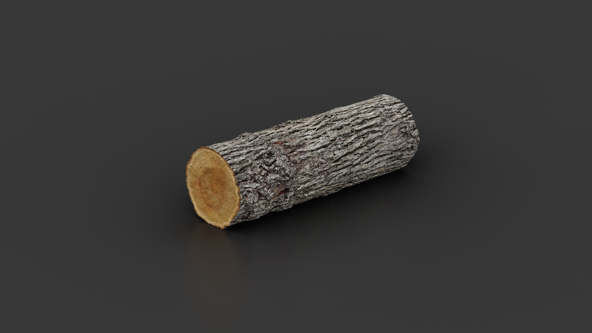 3D model Winged Elm Log PBR tiled 8K 05 https://p.turbosquid.com/ts-thumb/t9/ejH7y5/hY/elm_log5_05/jpg/1781852352/1920x1080/fit_q87/e32657a0756511650515101b7f7ca61760be89f4/elm_log5_05.jpg