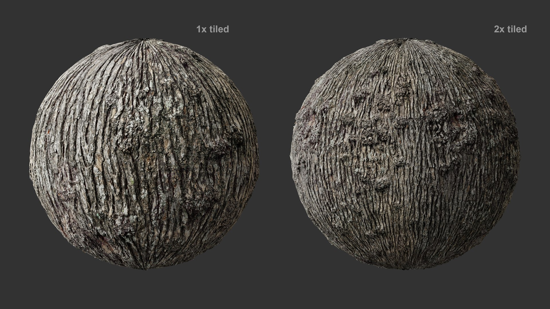 3D model Winged Elm Log PBR tiled 8K 05 https://p.turbosquid.com/ts-thumb/t9/ejH7y5/jR/elm_mat5_03/jpg/1781852375/1920x1080/fit_q87/d5086767716879fae4271562f748f4bf25446493/elm_mat5_03.jpg