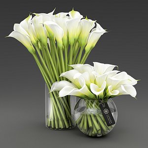 Two vases with Calla lilies.