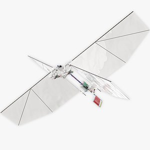 DelFly Nimble Flying Robot 3D model