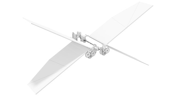 DelFly Nimble Flying Robot 3D model - TurboSquid 1773942