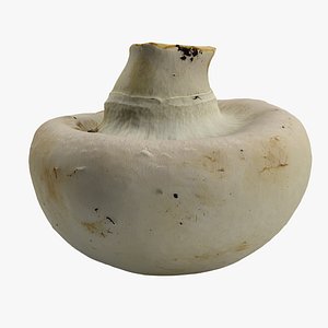 mushroom 3d model