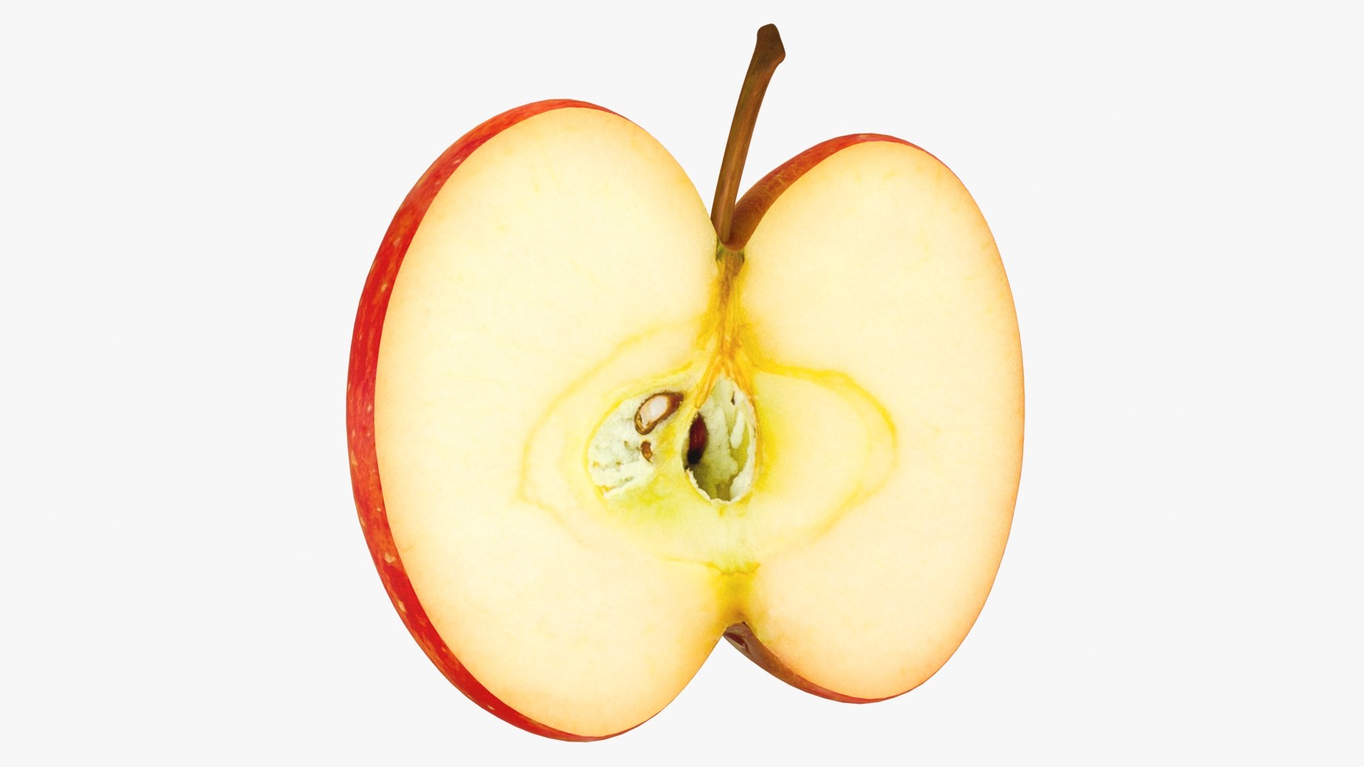 3D model fruit slices https://p.turbosquid.com/ts-thumb/tA/5ZENTA/Ady0A4Sv/lemon_rr_00/jpg/1588589924/1920x1080/fit_q87/babe04300fc452228a81ff6efe526ffac151e07c/lemon_rr_00.jpg