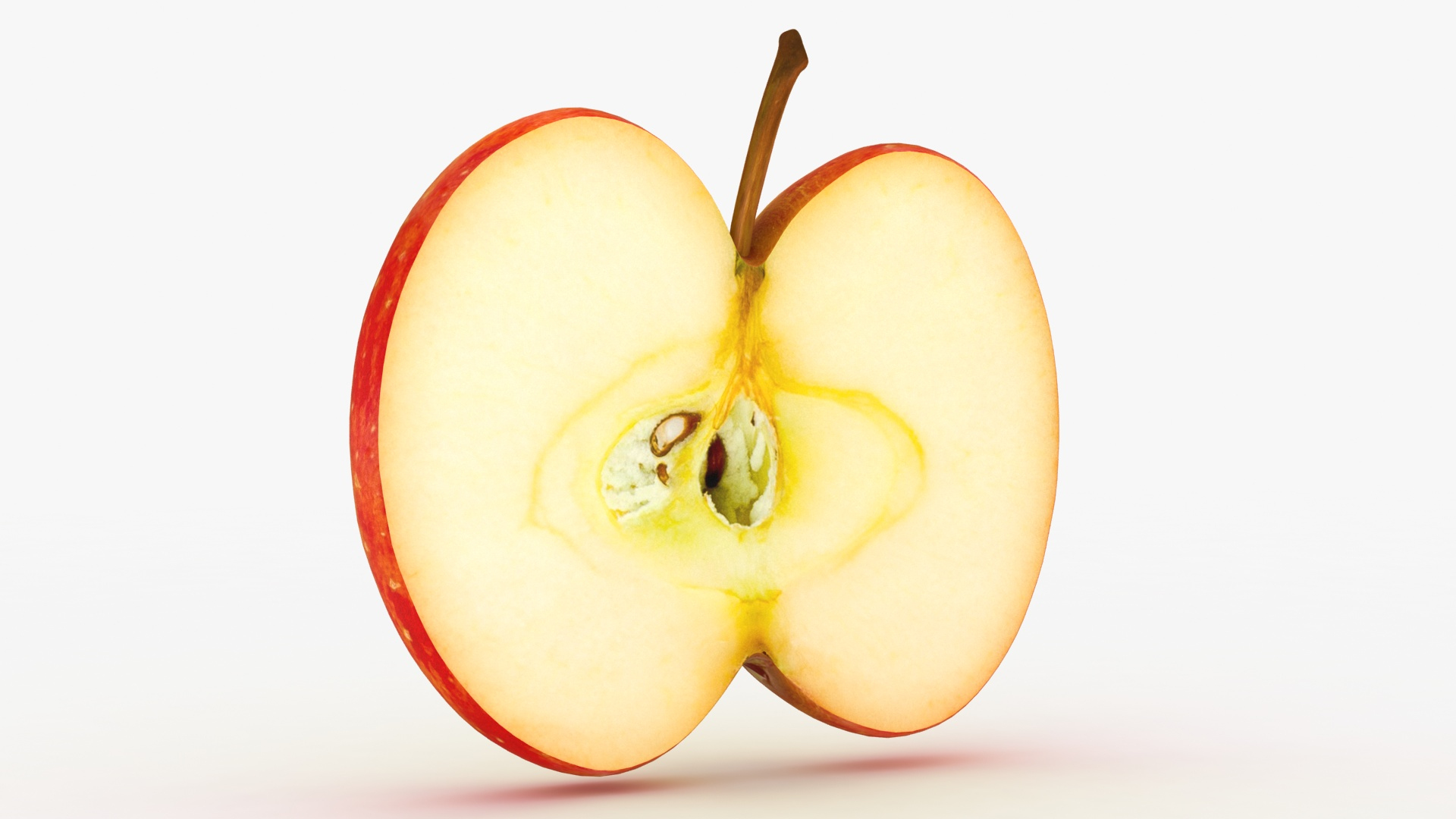 3D model fruit slices https://p.turbosquid.com/ts-thumb/tA/5ZENTA/UuYRwcIQ/appleslice_specular/jpg/1588589956/1920x1080/turn_fit_q99/d257a20073f6c164512460d38bef0a1a1fc8765a/appleslice_specular-1.jpg