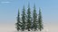 pine trees 3D model