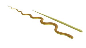 SNAKE
