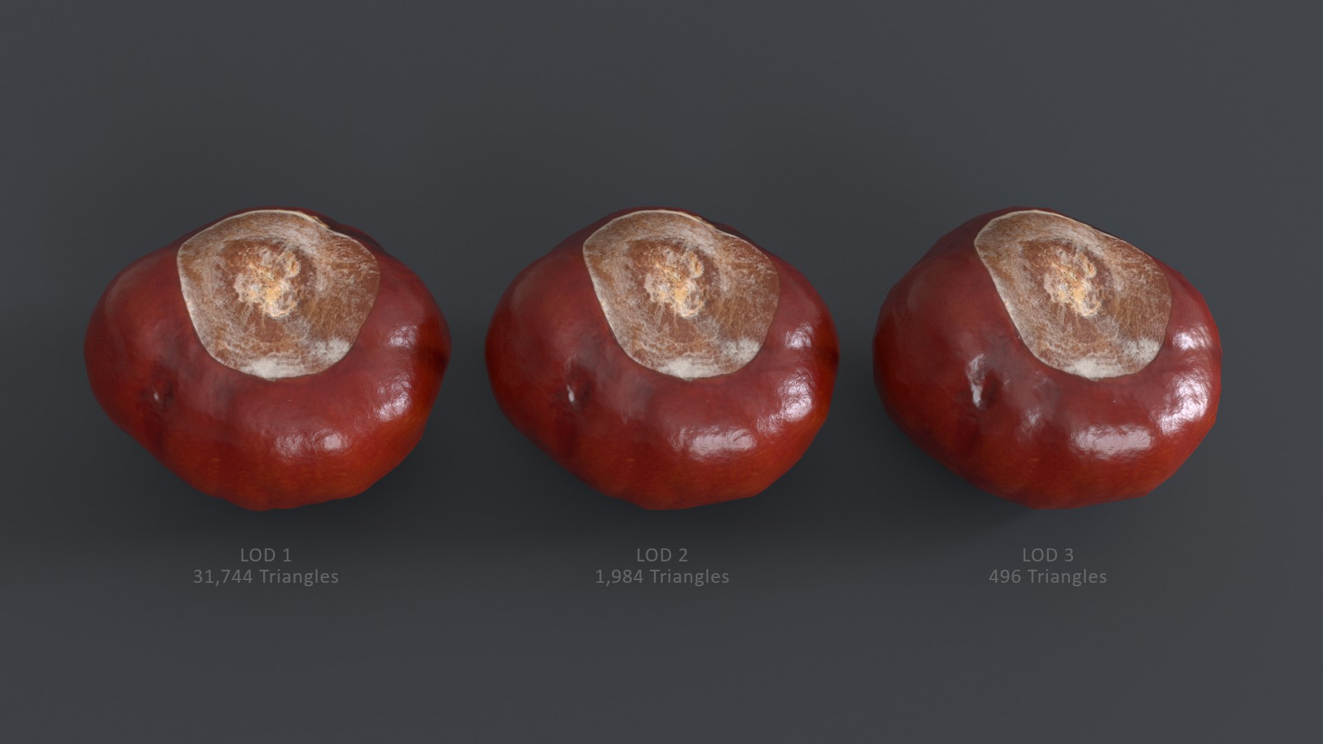 Chestnut Kernel 3D Model - TurboSquid 1696457