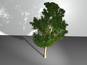 3d tree model