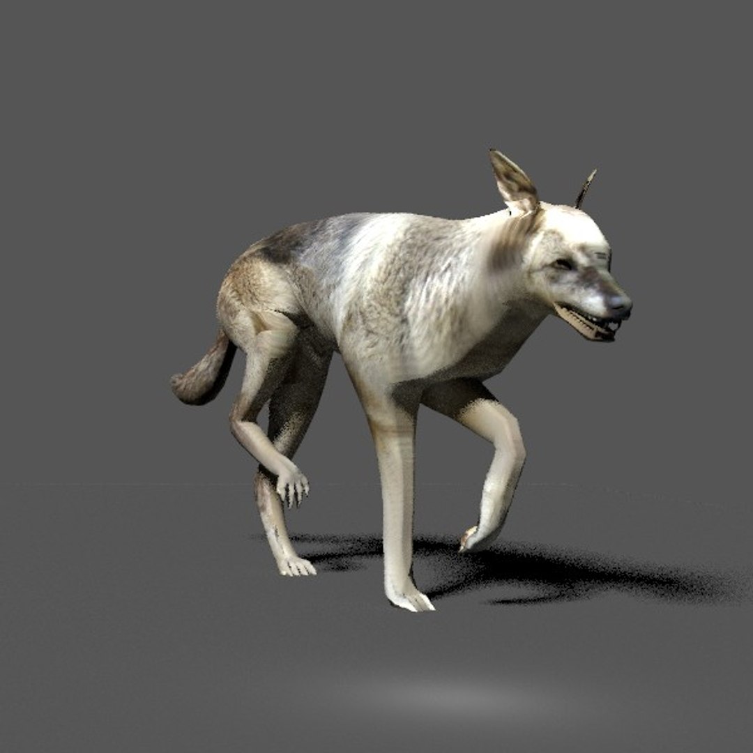 3d Model Of Wolf