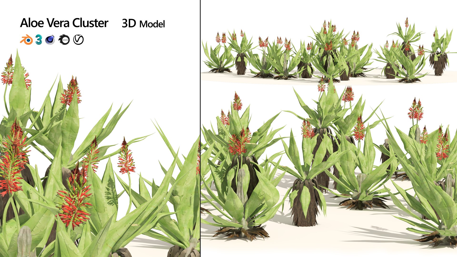 Aloe Vera flowers model https://p.turbosquid.com/ts-thumb/tA/TfsOjW/75/artcover/jpg/1669237040/1920x1080/fit_q87/73ca369397e4d1b4d14bd309eb45cb89fbe43ebb/artcover.jpg