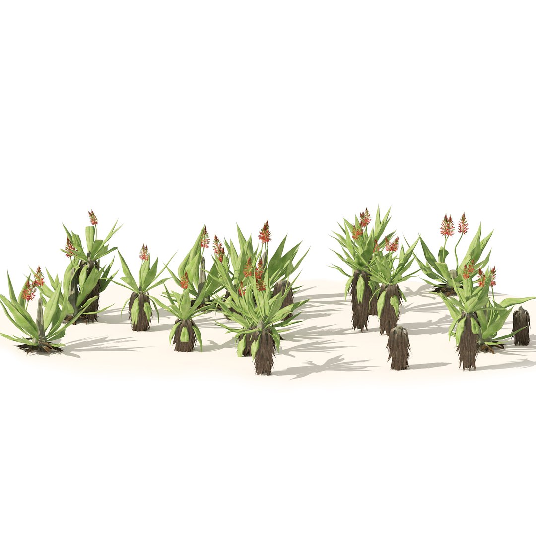 Aloe Vera flowers model https://p.turbosquid.com/ts-thumb/tA/TfsOjW/io/04pp/jpg/1669237037/1920x1080/fit_q87/b3020e174cf9929fa15f96cd07dbf95eafce8712/04pp.jpg
