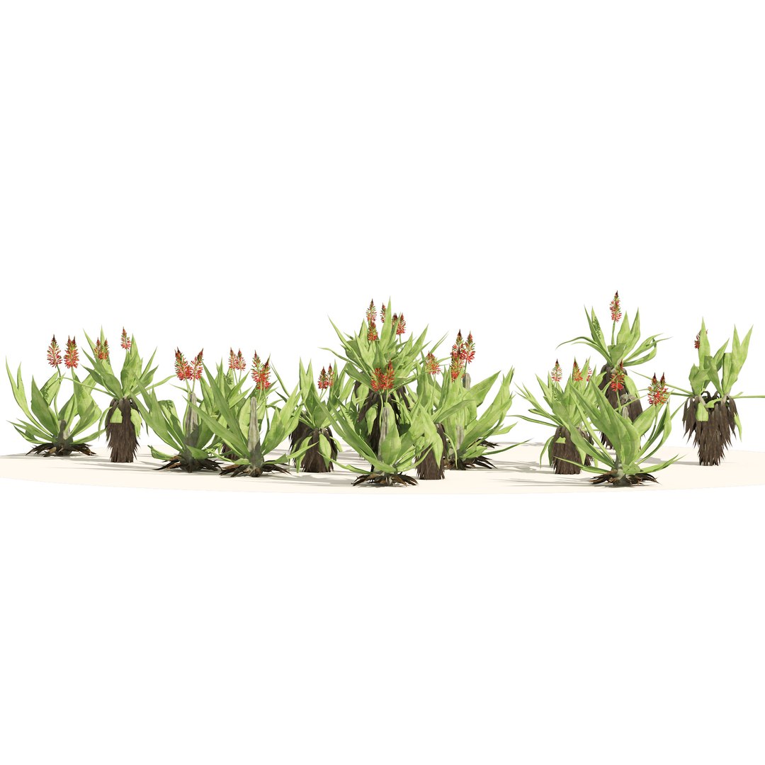 Aloe Vera flowers model https://p.turbosquid.com/ts-thumb/tA/TfsOjW/lX/03pp/jpg/1669237036/1920x1080/fit_q87/4726691b309406eee5241ec71e0e998d821975fe/03pp.jpg