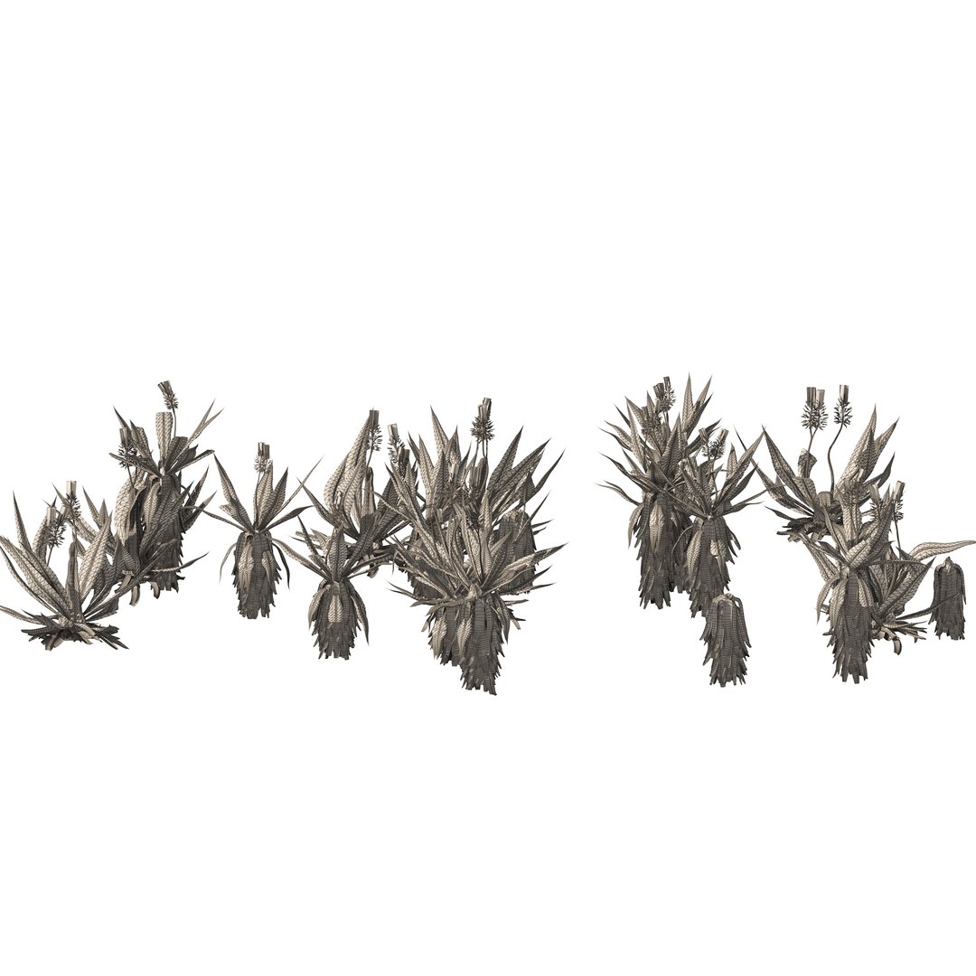 Aloe Vera flowers model https://p.turbosquid.com/ts-thumb/tA/TfsOjW/vn/wire/jpg/1669237038/1920x1080/fit_q87/dedc63bb09c1f4fafd0510b20c792fe348717a8a/wire.jpg