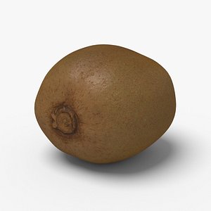 3d model kiwi ready unreal