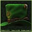 leprechaun travel hat 3d max