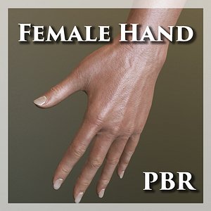 3D female hand pbr model