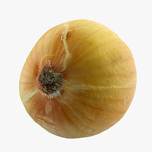 3d onion
