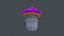 Seta Low Poly