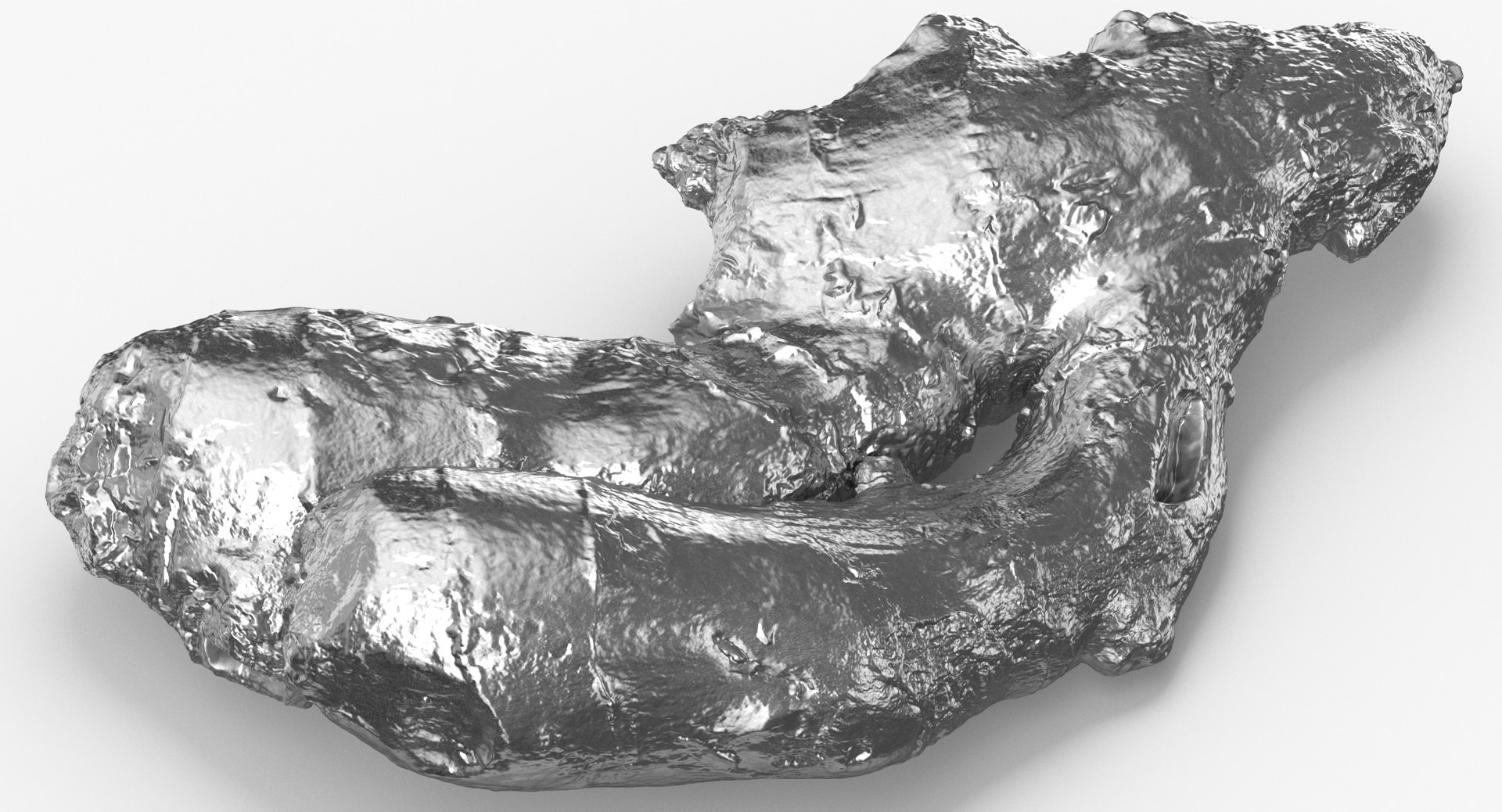 Ginger Root 05 Silver 3D Model - TurboSquid 1498358