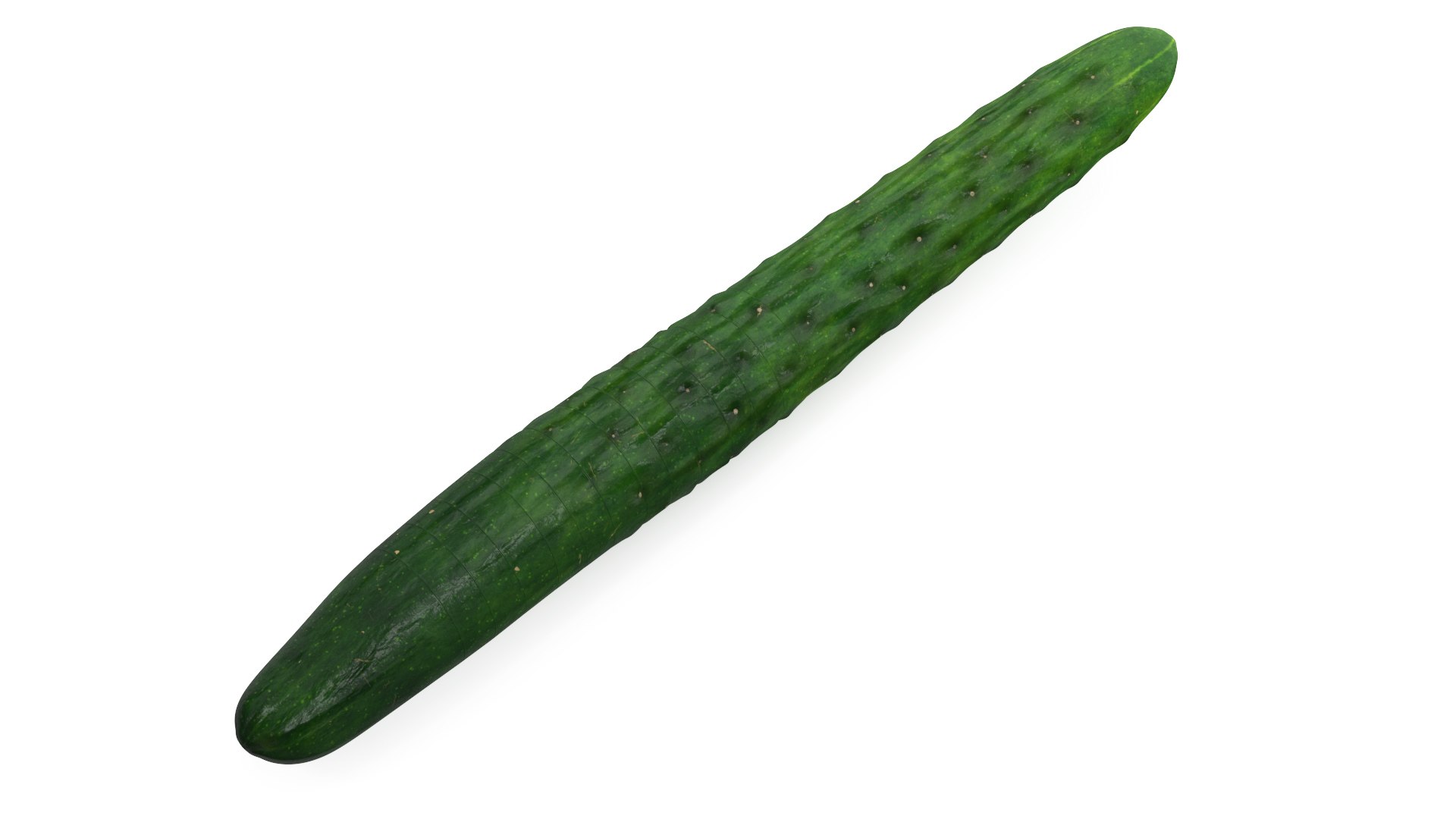 Cucumber Ring Sliced 3D model preview