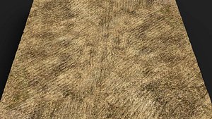 terrain ground grass bushes patch pt11 PBR photogrammetry 3D