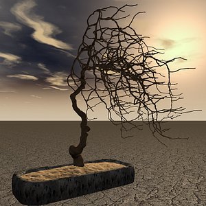 Bonzai Tree