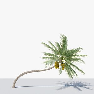 3D Lowpoly Coconut Palm v3 model