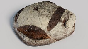 s scan baked 3D model