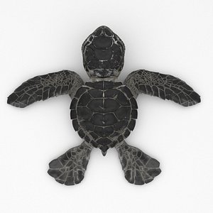Turtle