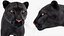 Coleção Rigged Big Cats