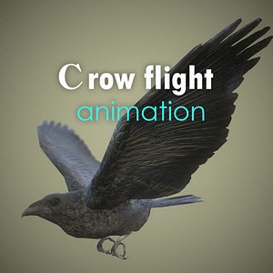 materials animations flight model