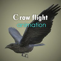 Raven flight animation