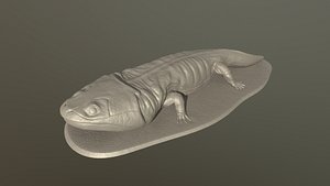 Siderops kehli print