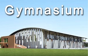 stadium university 3d max