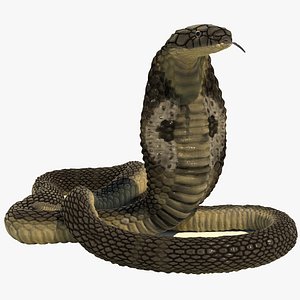 Indian Cobra Rigged Animated