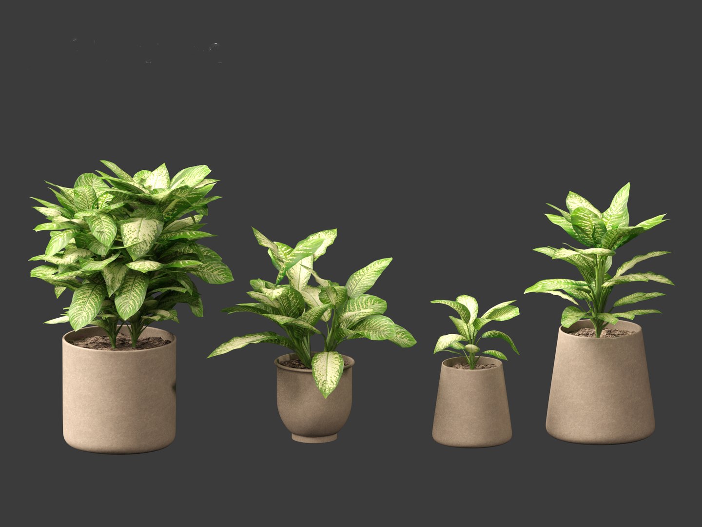 Dieffenbachia seguine - Dumb Cane 02 3D https://p.turbosquid.com/ts-thumb/tB/w4eoJ5/iX/dieffenbachiaseguine024/jpg/1696945195/1920x1080/fit_q87/8ee5104613fc1d7390471ee9fd11fe9dfebfe031/dieffenbachiaseguine024.jpg