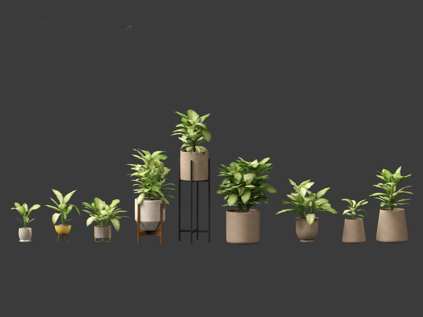 Dieffenbachia seguine - Dumb Cane 02 3D https://p.turbosquid.com/ts-thumb/tB/w4eoJ5/l6/dieffenbachiaseguine022/jpg/1696945190/1920x1080/fit_q87/0a13abc4f8a93c3e1ad5fbc8cd0afa4cdafe1f89/dieffenbachiaseguine022.jpg