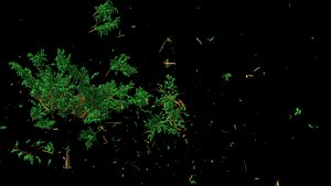 tree shatters houdini 3d 3ds