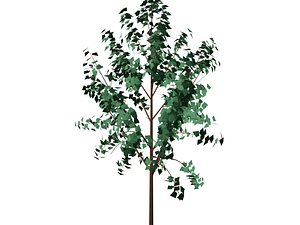 trees 3d model