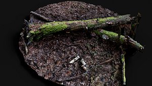 3D broken tree mossy stump forest ground pt5 PBR photogrammetry model