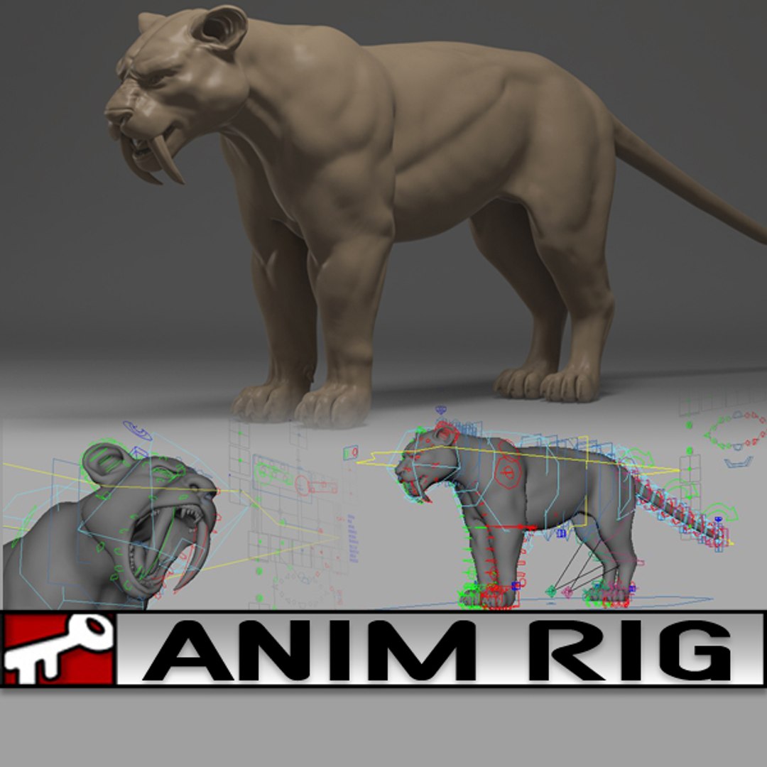 Rig 2014 Animation 3d Ma