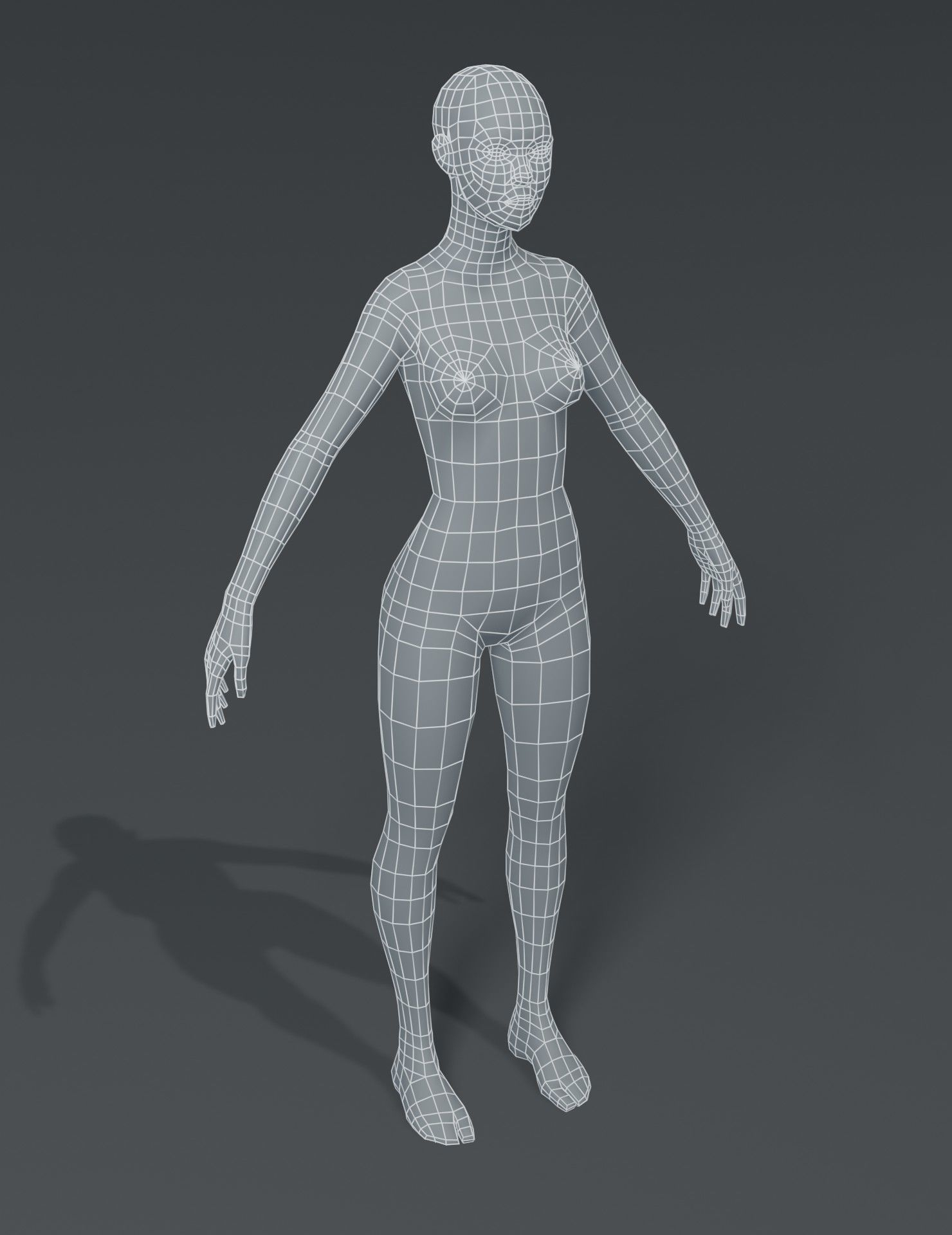 Human Body Base Mesh 40 Models Pack 3D model TurboSquid 1769322