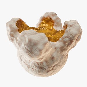 Popcorn 3D model