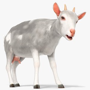 Farm Goat Fur Rigged for Blender